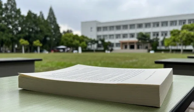 行业定制服务:一件代发模式下的使用与维护建议